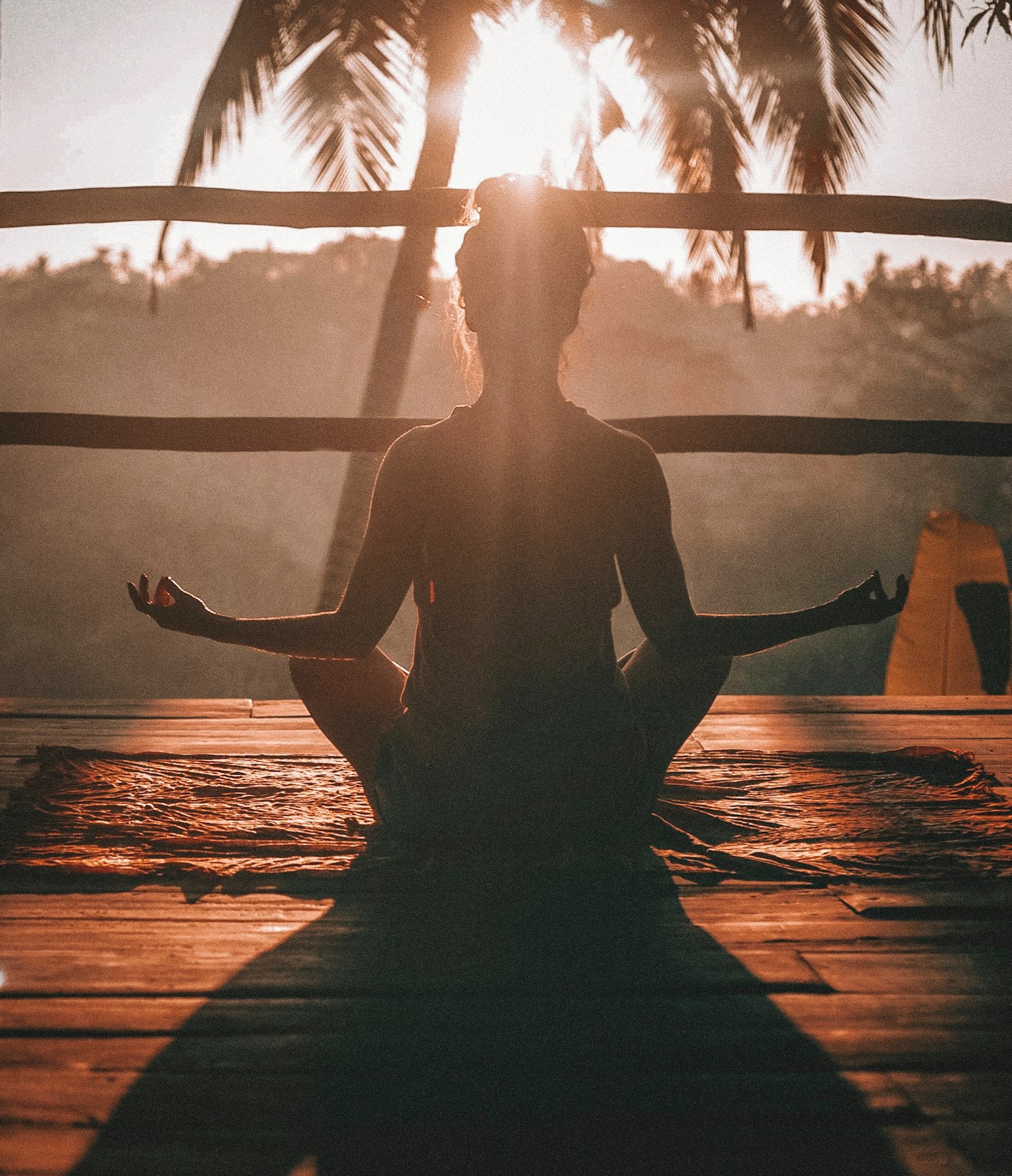 Transformative Wellness: Stories of Success